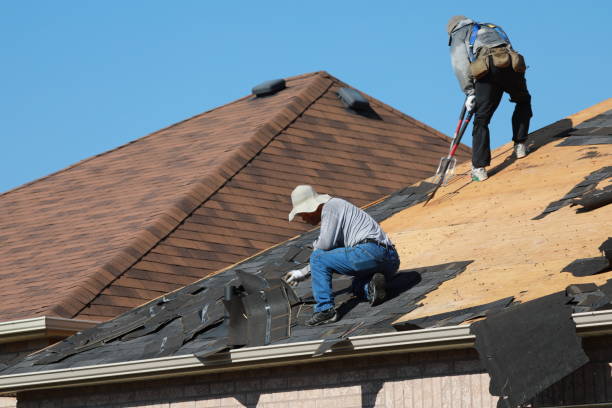 Best 4 Ply Roofing  in Mmaduke, AR